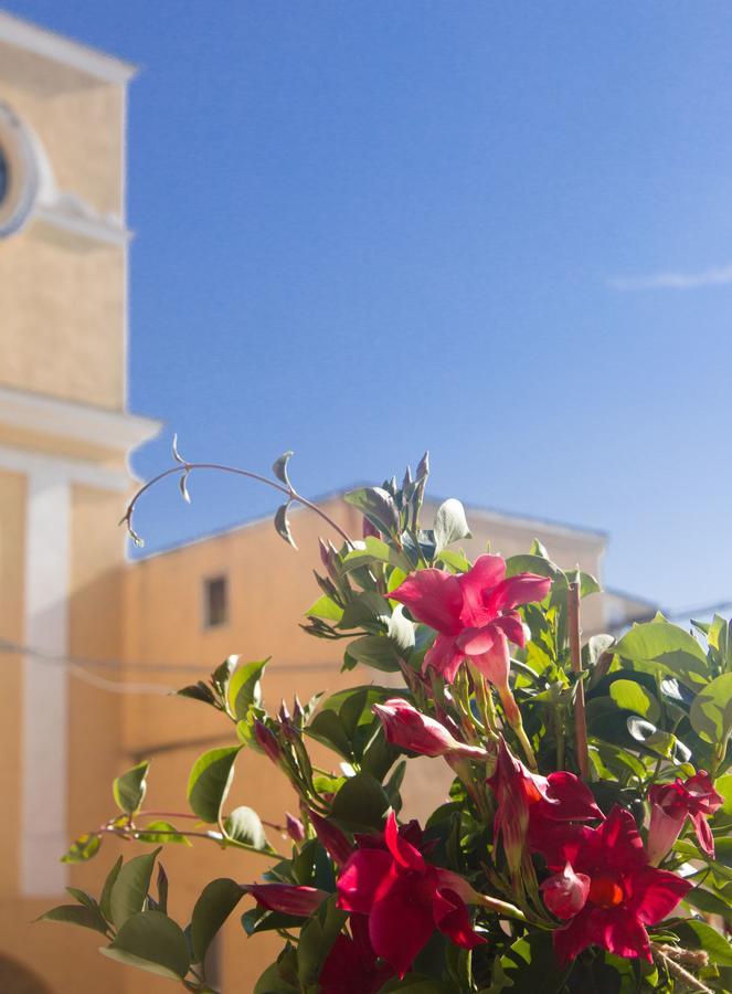 B&B San Trifone Adelfia Exteriér fotografie